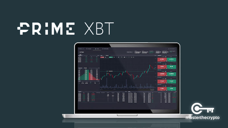 Discovering the PrimeXBT Telegram Bot Your Guide to Efficient Trading