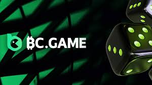 Understanding BC.GAME Withdrawal Process