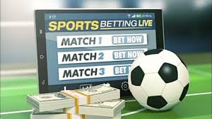Discovering the World of Gambling An In-Depth Look at Abol Bet
