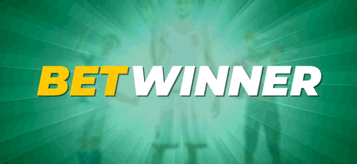 Discovering Vietnam BetWinner A Comprehensive Guide to Online Betting