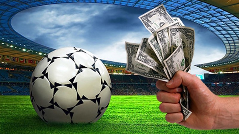 Exploring the World of Spurbet A Comprehensive Guide