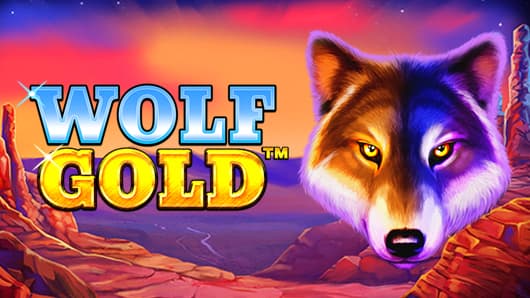 신나는 모험, Wolf Gold와 함께하는 새로운 경험