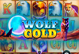 신나는 모험, Wolf Gold와 함께하는 새로운 경험